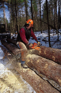 Logging