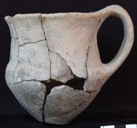 pitcher