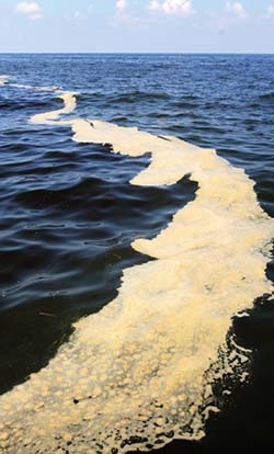 Gulf oil spill