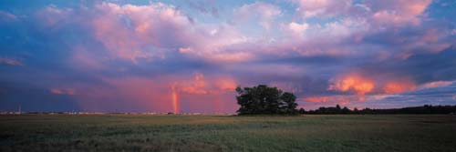 Seabrook by Peter Randall '63