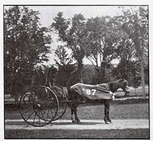 one-horse chaise