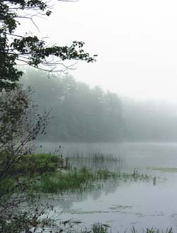 Willand Pond, photo by Frank Laferriere  border=